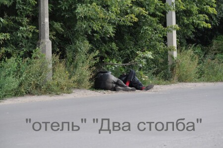 "отель" "Два столба"