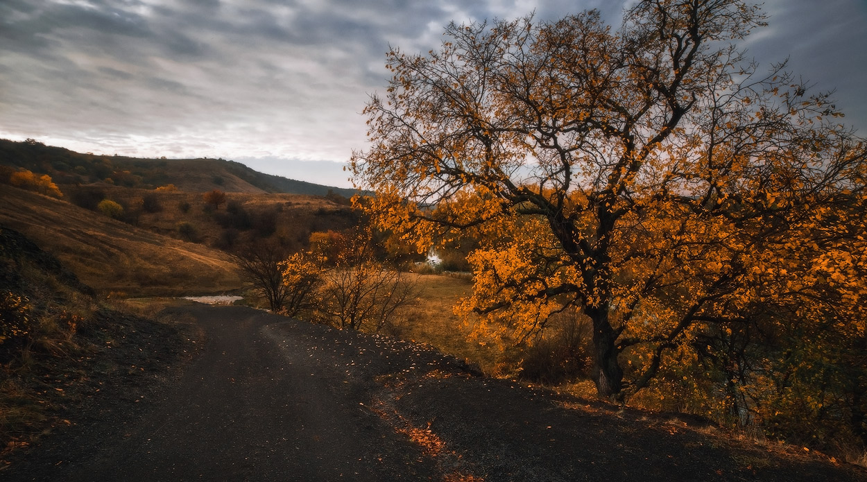 Осенними дорогами