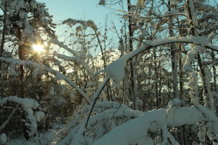 тёплый день ЗимЫ...