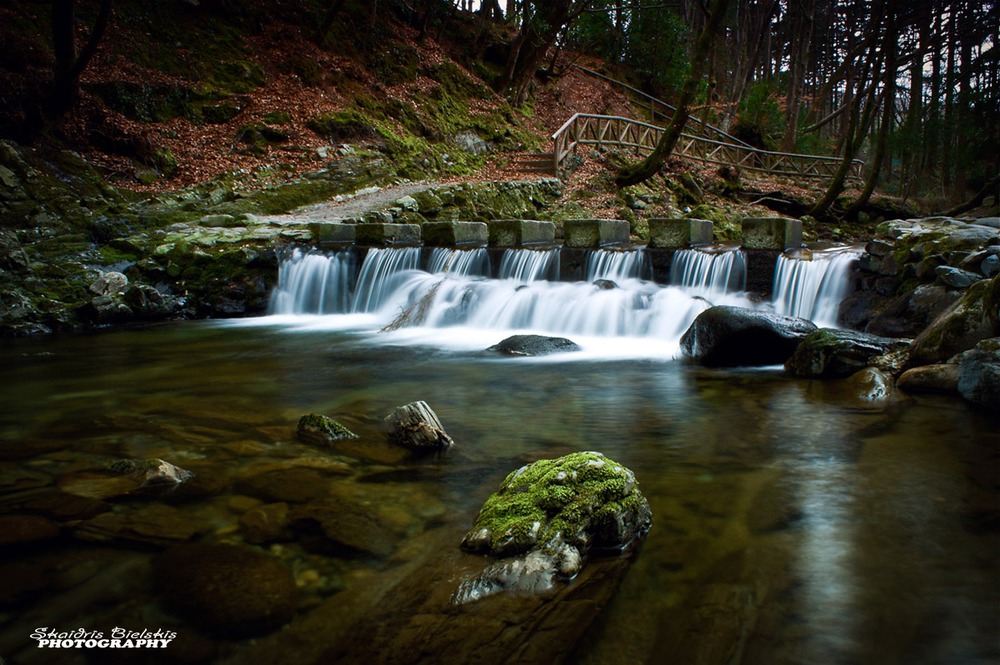 Tollymore forest park.Ireland