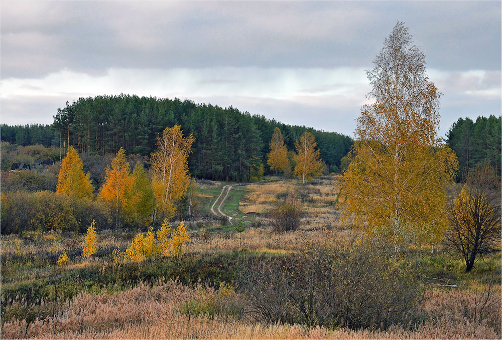 Осенними тропами