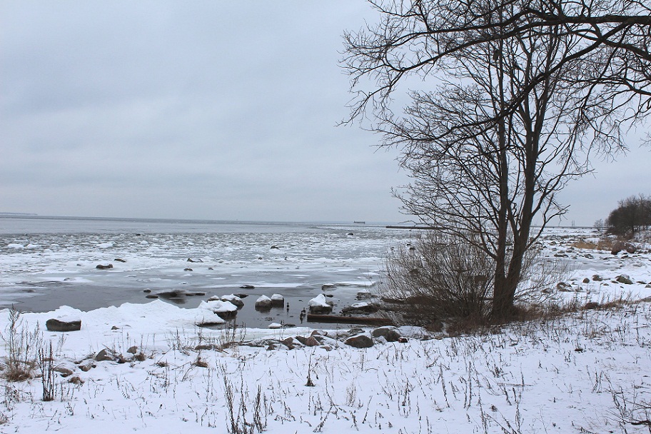 Таллинн, р-н Пирита, 02.02.2013