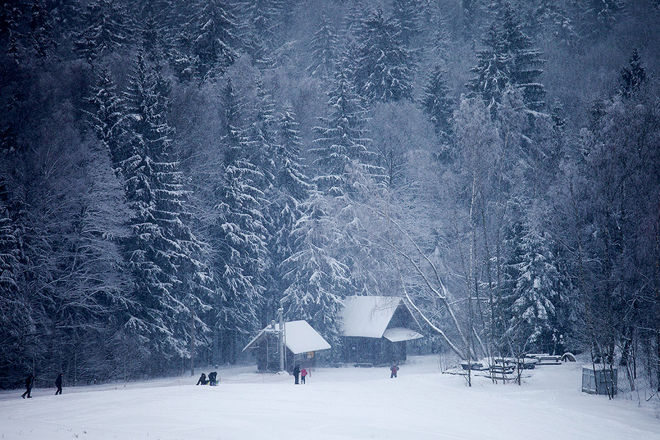 зимно