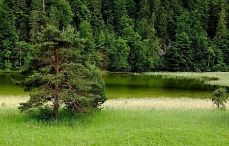 На пруду в парке Фюссена