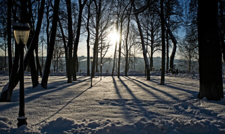 Зимний свет