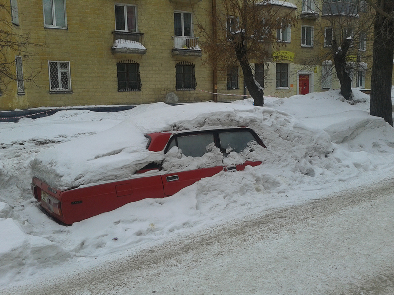 Настоящий подснежник