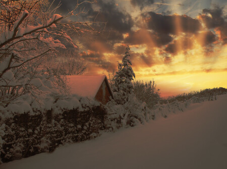 У леса на опушке