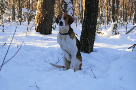 После охоты...