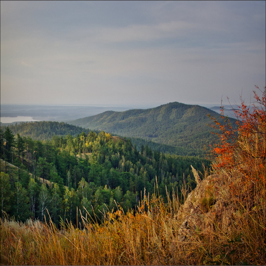 Осеннее разноцветье