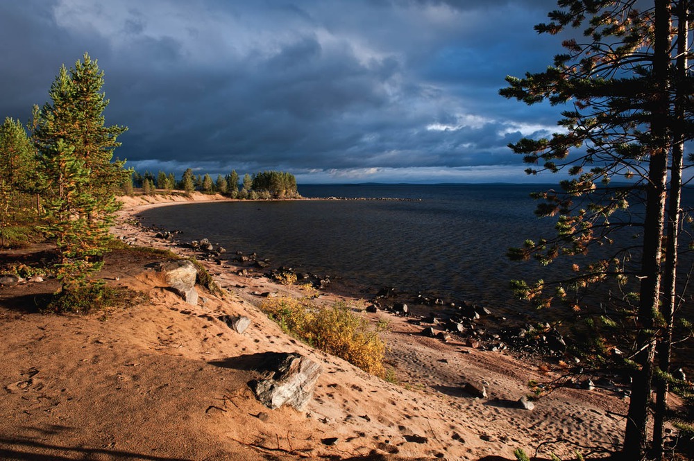 Колвицкая лука