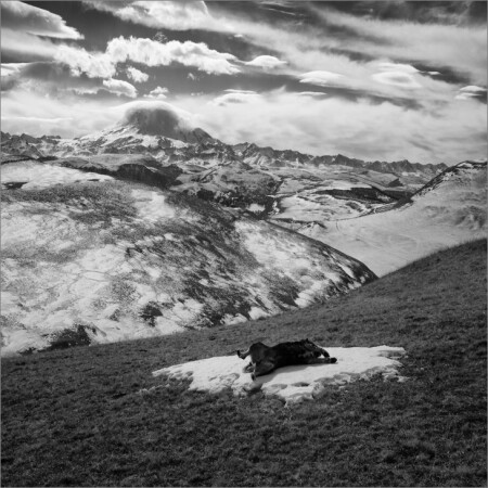 Остров сновидений