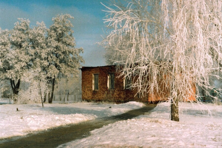 Погожий февральский денек