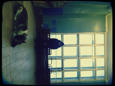 Чем дальше от Москвы..........