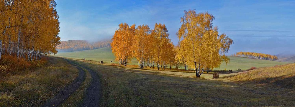 Осень наступила.