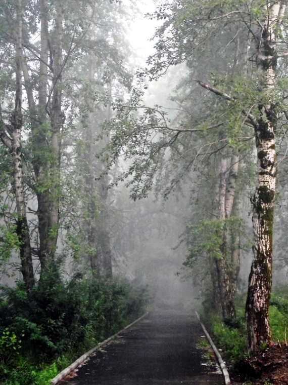 Утро в городе