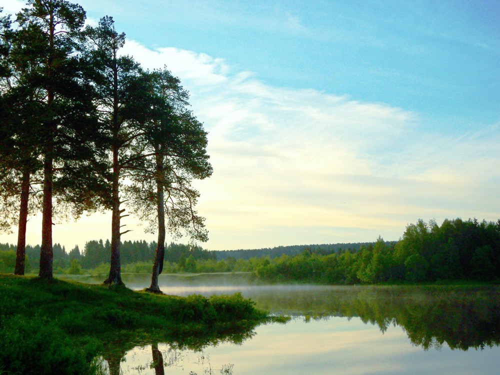 Утро на реке