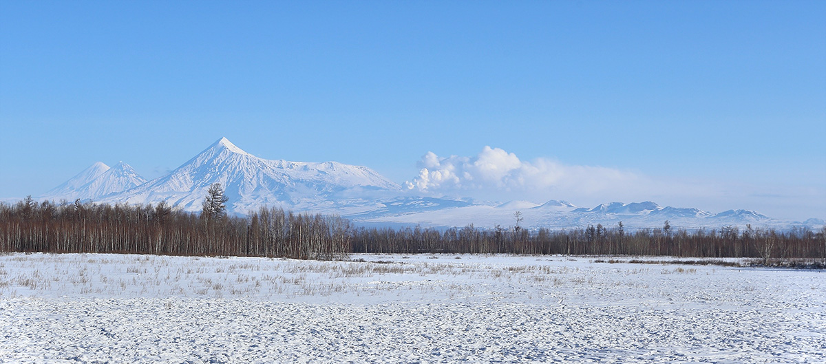 Морозный полдень