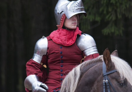 Рыцарский турнир