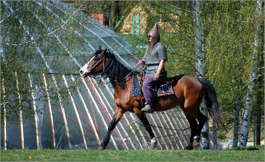 Добрыня Никитич в домашнем...