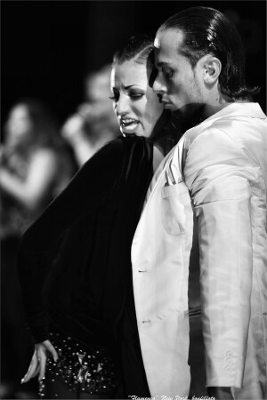 "Flamenco 2"New York