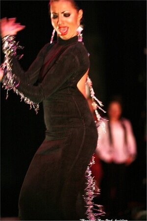 "Flamenco 3" New York