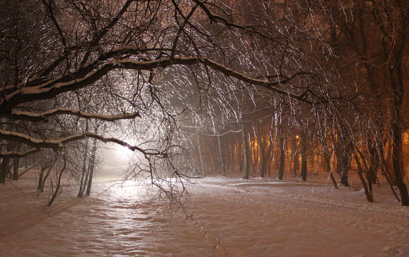 В вечернем парке.