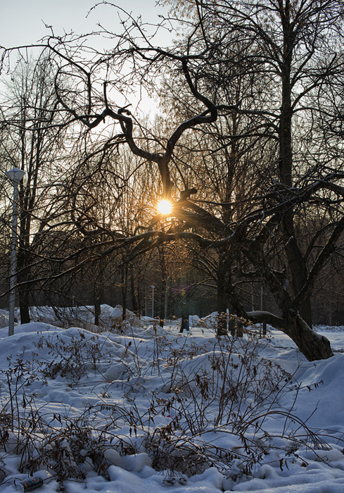 Городской парк. Восход.