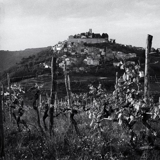 Croatia, Motovun