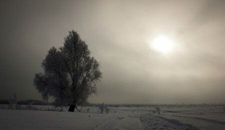 Одиночество
