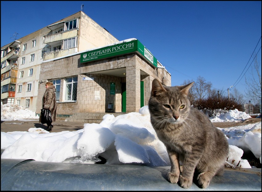 Ва-банк