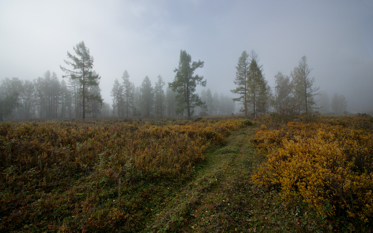 Туманы Тюнгура (2)