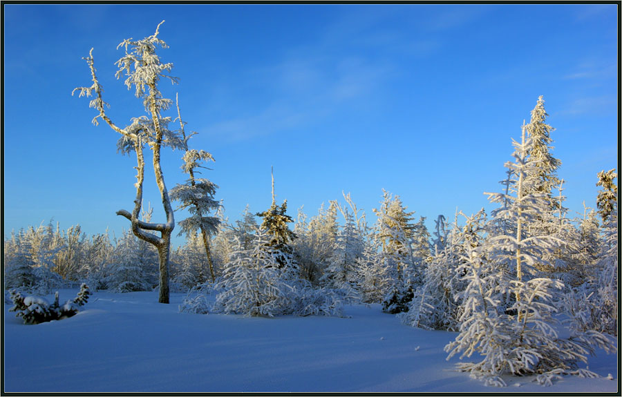 Февраль