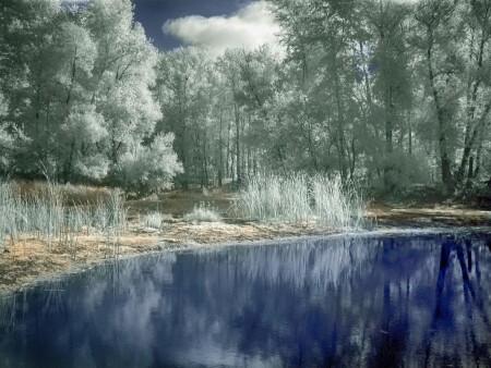 another world