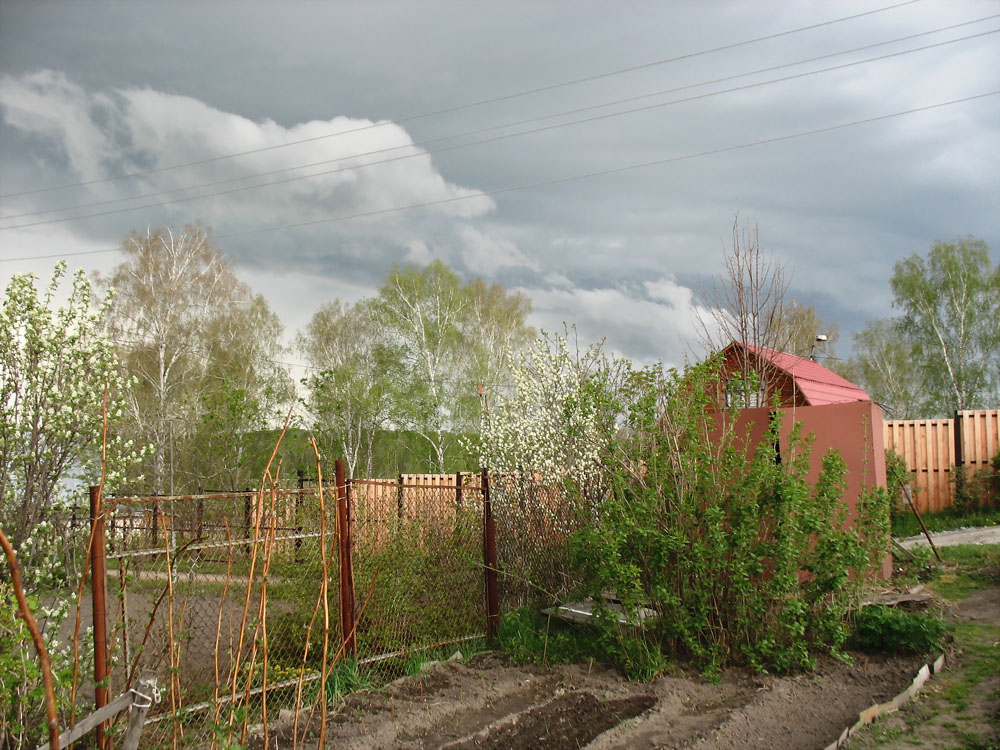 Перед грозой