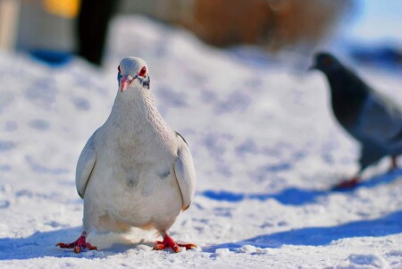 Поговорим?!