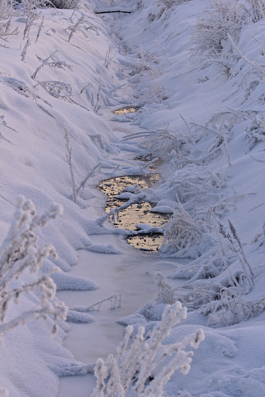 Лужа возле дома