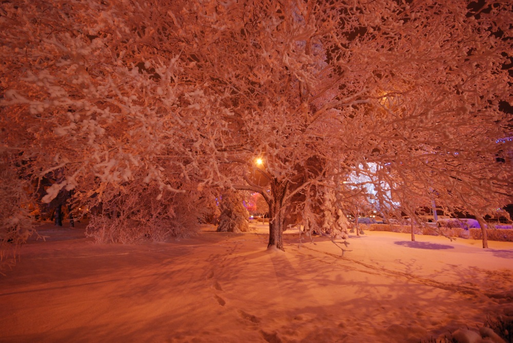 Вслед уходящей зиме, с теплотой...