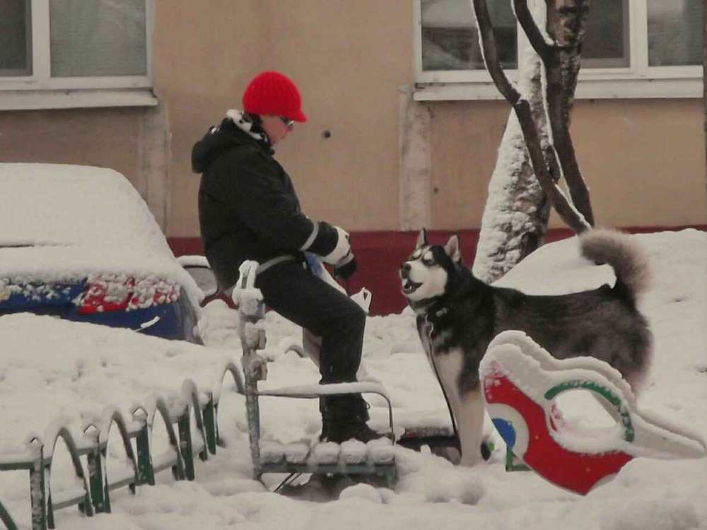 Красная Шапочка и Серый Волк