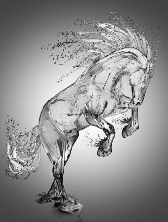 water horse