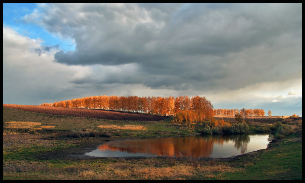 Осень в полях