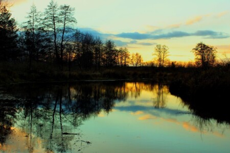 завтра будет ветер