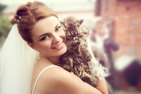 Невеста с котом
