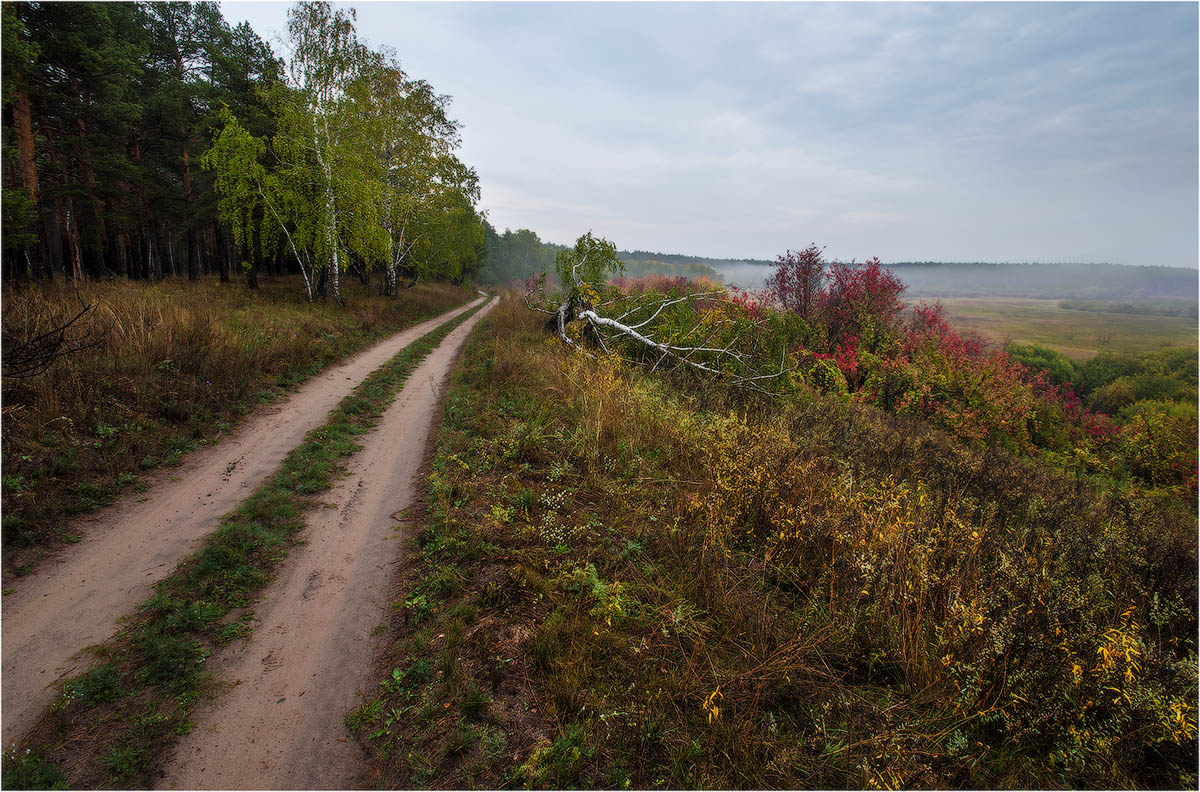 Хмурое осенее утро