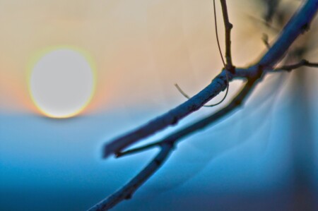 зимнее солнце