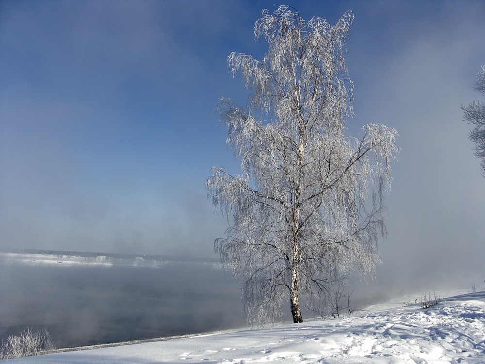 На реке туман