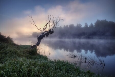 в небо