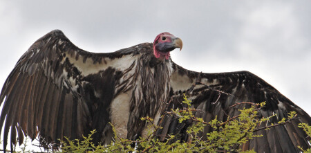 После дождя