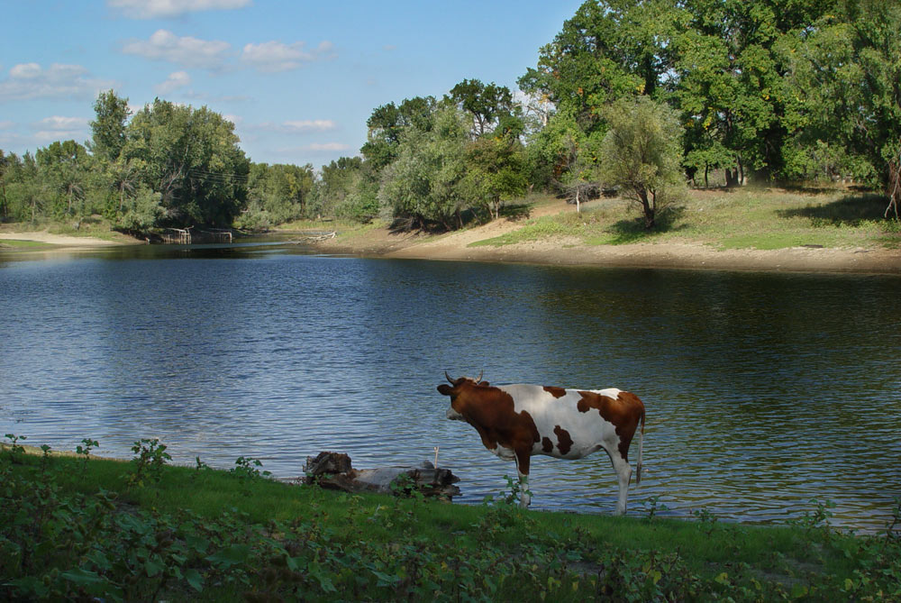 fazenda