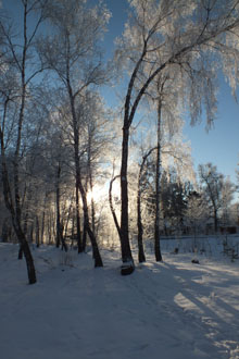 Зимние зарисовки