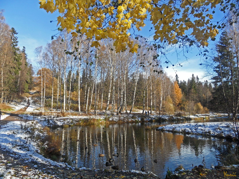 Первый снег. Октябрь. Шуваловский парк